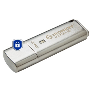 USB-Stick 256GB Kingston IronKey Encryption retail