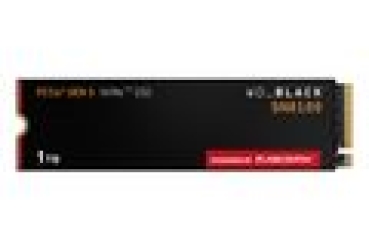 SSD WD Black  M.2 2280       1TB NVMe    SN8100 intern