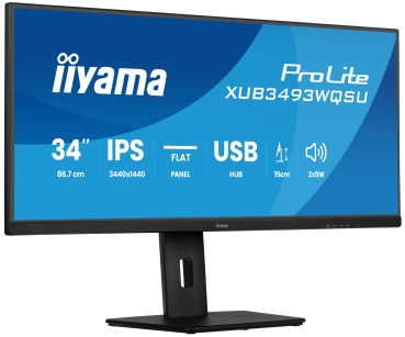 IIYAMA 86,7cm (34)   XUB3493WQSU-B6 21:9  HDMI+2xDP+2xUSB-C