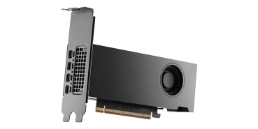 Preview: PNY Quadro RTX PRO 2000 Blackwell 16GB GDDR7 4xmDP