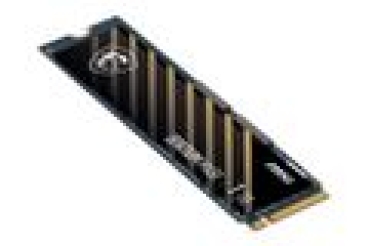 Preview: SSD  1TB MSI Spatium M450 V1 (M.2 2280) PCIe Gen4 x4 NVMe