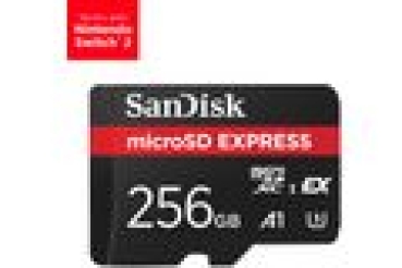 SD MicroSD Card 256GB SanDisk Express-Karte