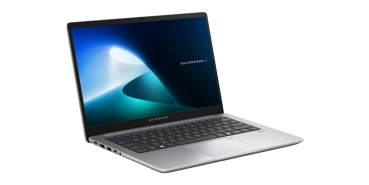 Preview: ASUS ExpertBook P1 14    C5-210H   16 512  P1403CVA-S61681X W11P