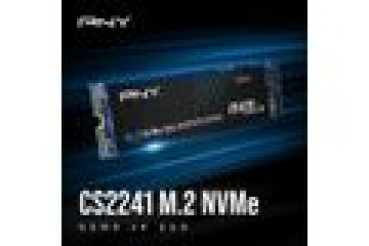 Preview: SSD    1TB PNY      M.2  PCI-E   NVMe Gen4 CS2241 retail