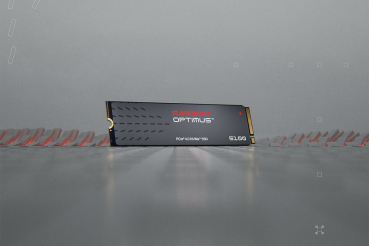 Preview: SANDISK SSD Optimus 5100 2TB NVMe intern