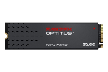 SANDISK SSD Optimus 5100 1TB NVMe intern