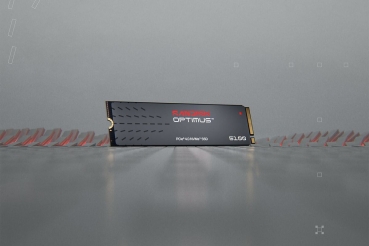 Preview: SANDISK SSD Optimus 5100 1TB NVMe intern