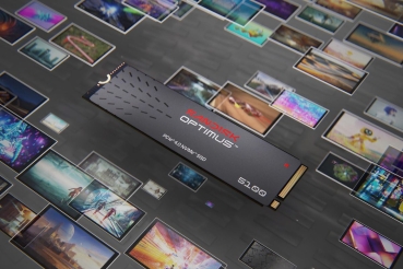 SANDISK SSD Optimus 5100 1TB NVMe intern
