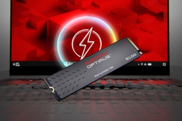 SANDISK SSD Optimus 5100 1TB NVMe intern