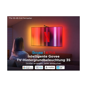 Preview: Govee Netflix Envisual TV Backlight 55-65