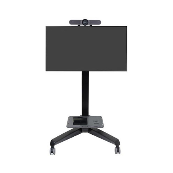 ZUB ERGOTRON Neo-Flex Mobile MediaCenter VHD