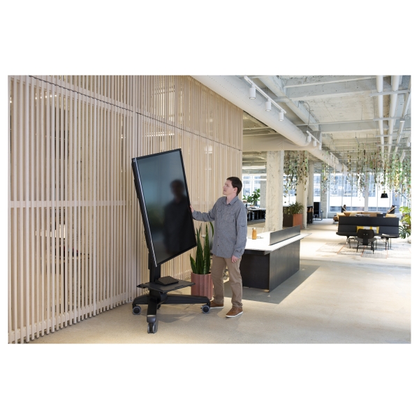 ZUB ERGOTRON Neo-Flex Mobile MediaCenter VHD