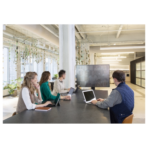 ZUB ERGOTRON Neo-Flex Mobile MediaCenter VHD