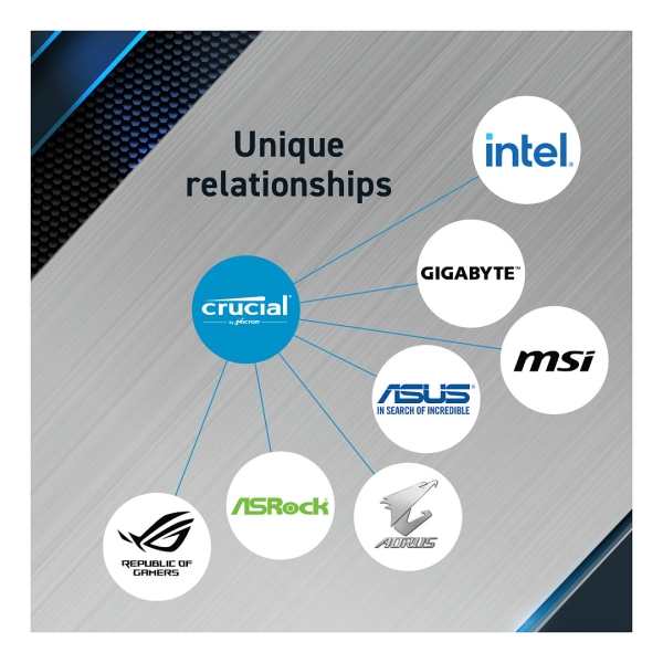 5600 32GB KIT Crucial 16GBx2