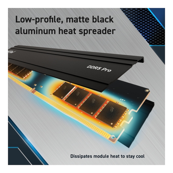 5600 64GB KIT Crucial 32GBx2