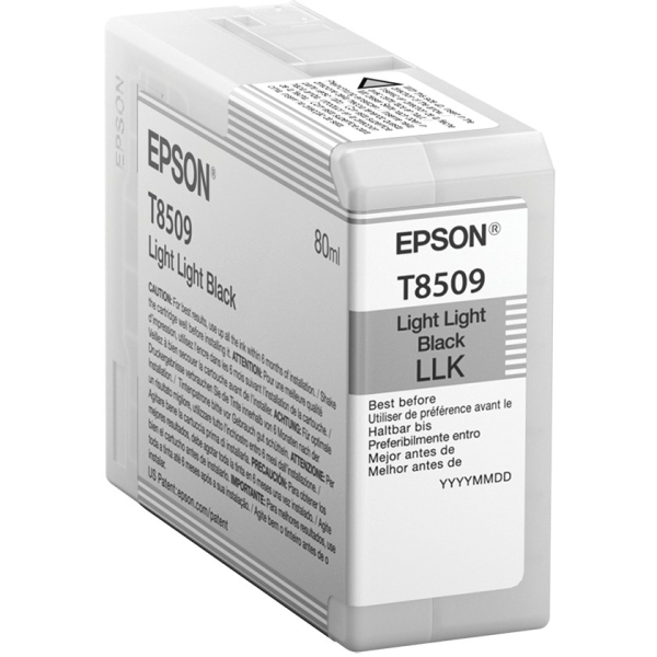 Epson C13T850900 light black