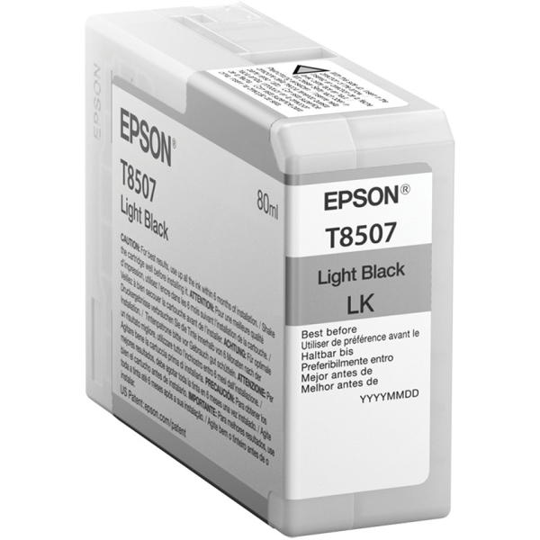 Epson C13T850700 light black