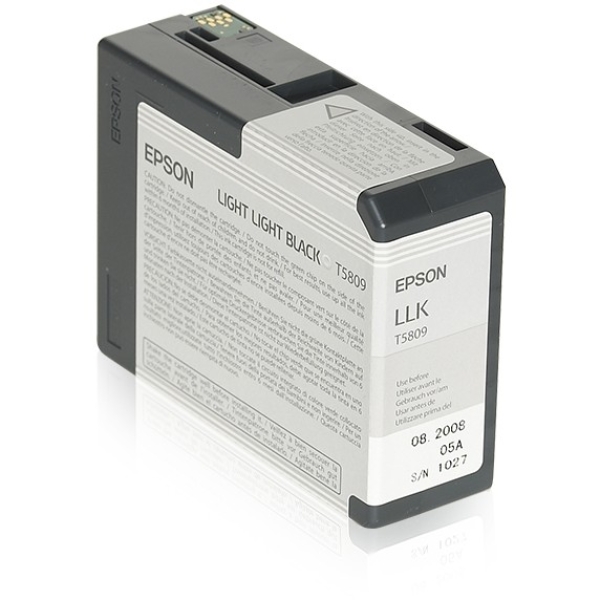 Epson C13T580900 light black