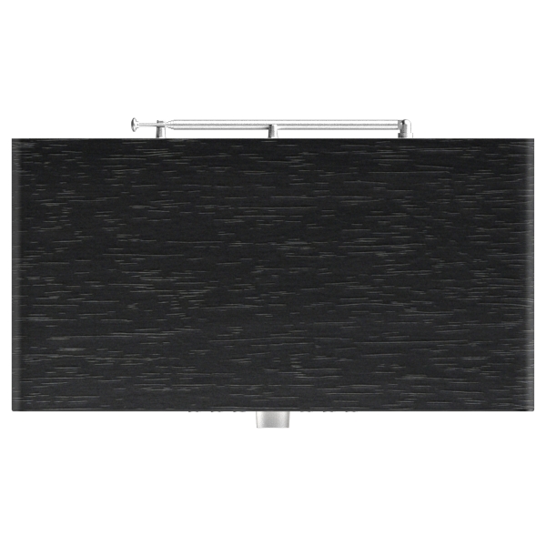 Panasonic RF-D40EG-K schwarz