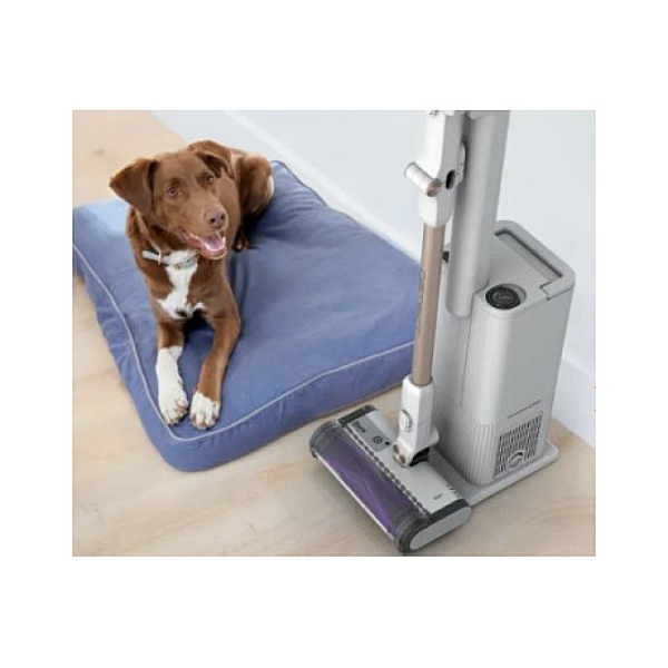 IW3612EUT Akkusauger + Entleerungsstation