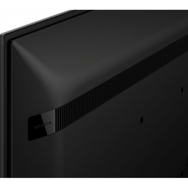 FW-65BZ40L 65INCH PRO