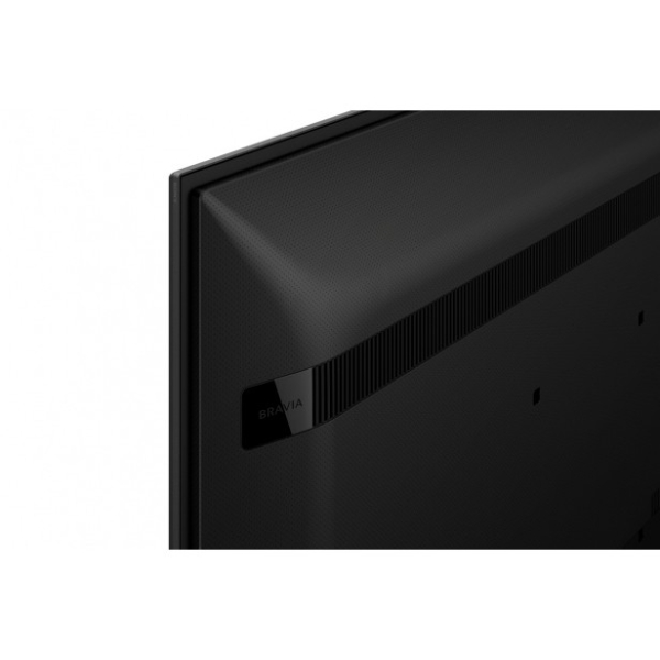 FW-65BZ30L 65INCH PRO
