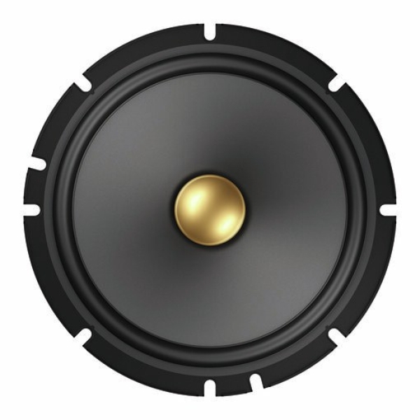 Pioneer TS-A1601C