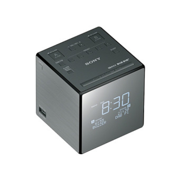 Sony XDR-C1DBP titan black