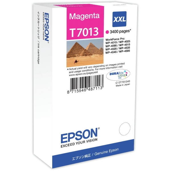 Epson C13T70134010 magenta EHC