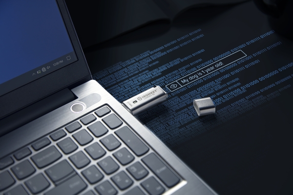 USB-Stick 128GB Kingston IronKey Encryption retail