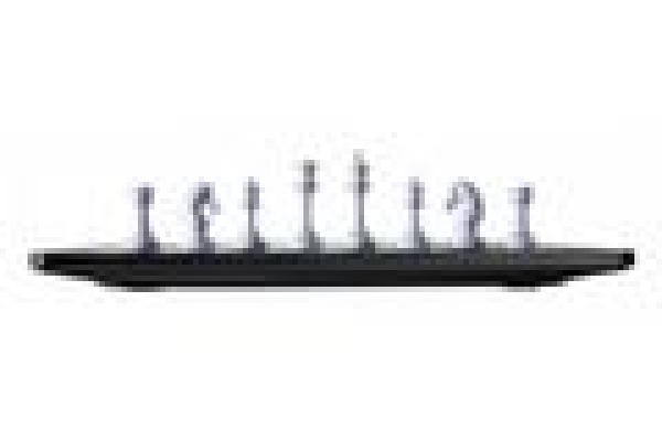 Millennium Schachcomputer eOne