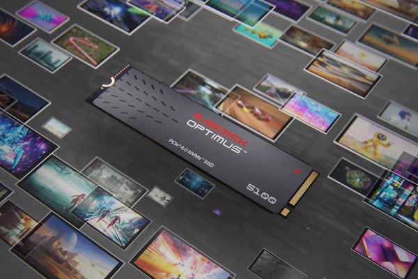 SANDISK SSD Optimus 5100 2TB NVMe intern