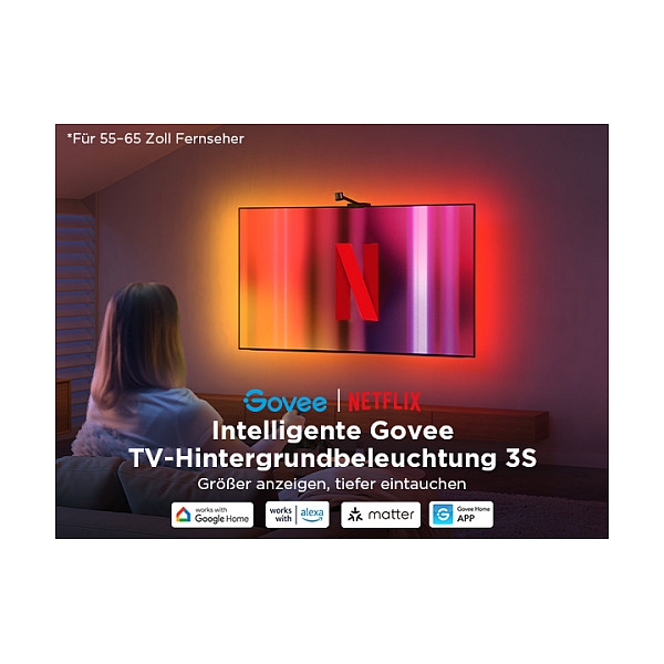 Govee Netflix Envisual TV Backlight 55-65